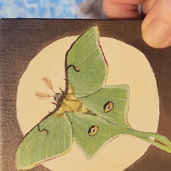 2 Handpainted Pictures on Canvas,EUC - Picture 6 of 6